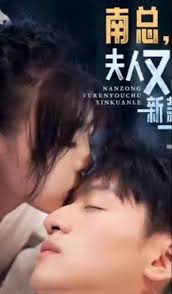南總，夫人又出新款了