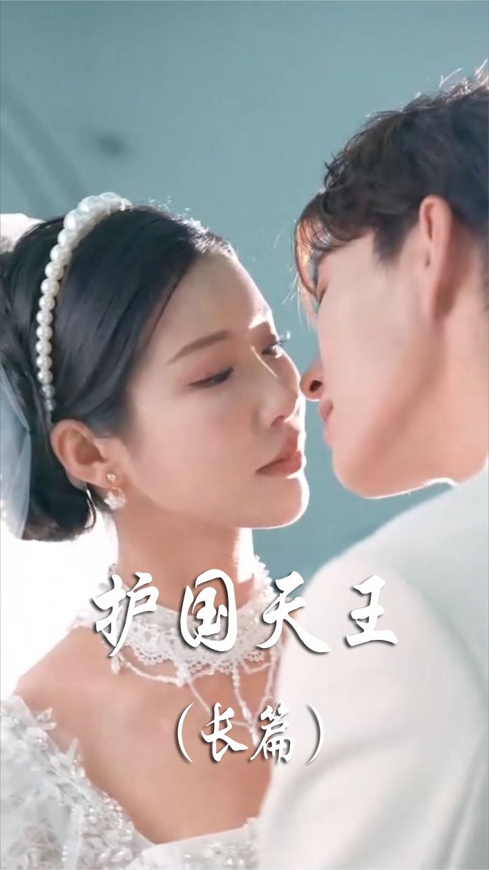 護(hù)國天王