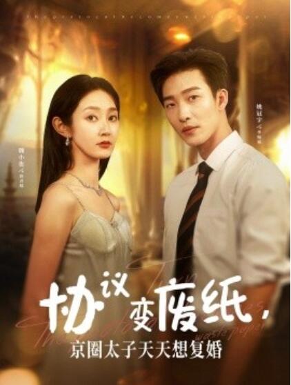 協議變廢紙，京圈太子天天想復婚
