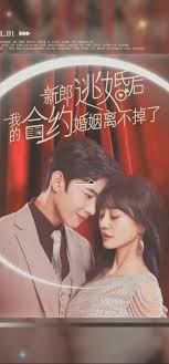 新郎逃婚后，我的合約婚姻離不掉了