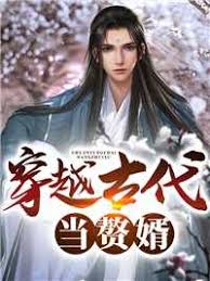 穿越古代當贅婿