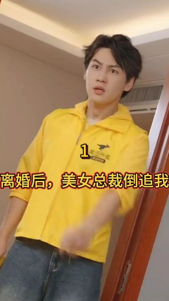離婚后，美女總裁倒追我