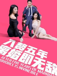 入贅五年，離婚既無敵