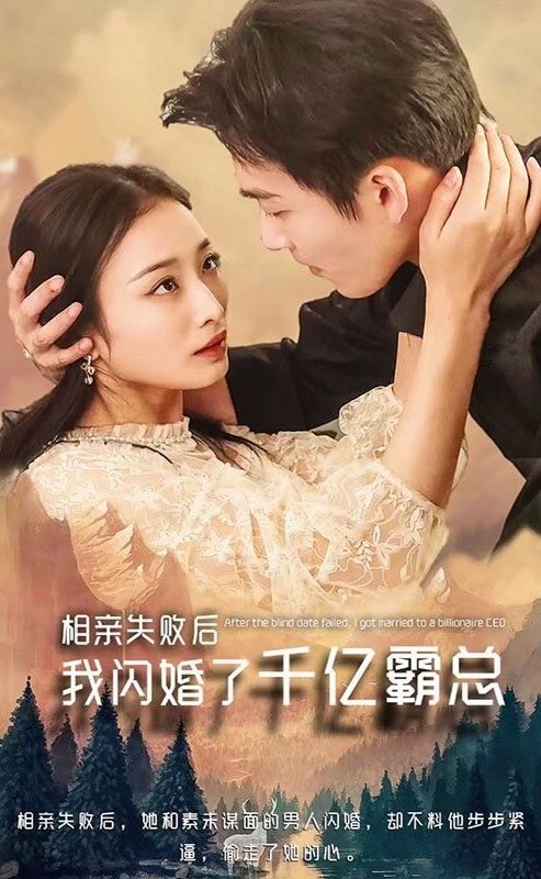 相親失敗，我閃婚了個千億霸總