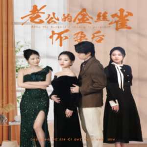 老公的金絲雀懷孕后