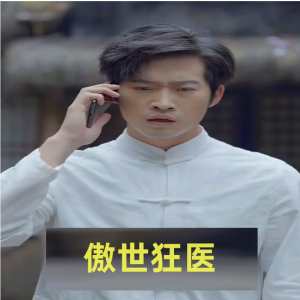 傲世狂醫