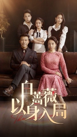 白薔薇以身入局