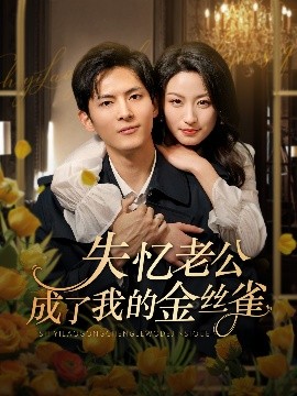 失憶老公成了我的金絲雀