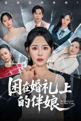 困在婚禮上的伴娘