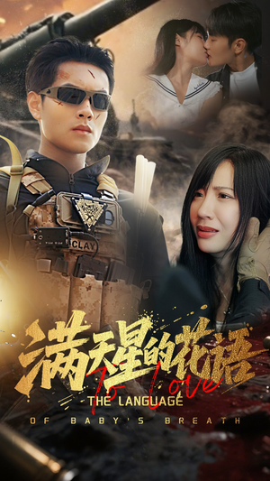 滿天星的花語