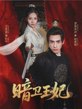 暗衛(wèi)王妃