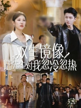 雙生鏡像陸先生對(duì)我忽冷忽熱