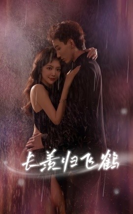 長(zhǎng)羨歸飛鶴