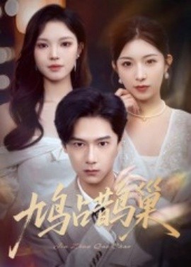 鳩占鵲巢&頂流夫人的致命陷阱