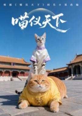 喵儀天下