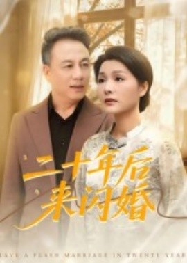 二十年后來(lái)閃婚