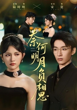 奈何明月負相思