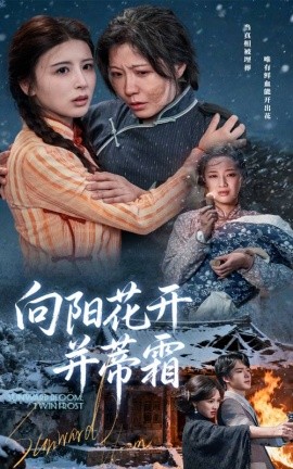 向陽(yáng)花開并蒂霜