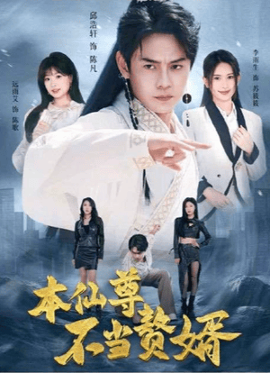 本仙尊不當(dāng)贅婿