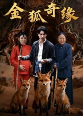金狐奇緣