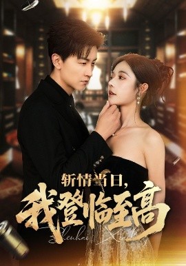 斬情當日，我登臨至高