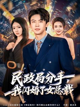 民政局分手，我閃婚了女總裁
