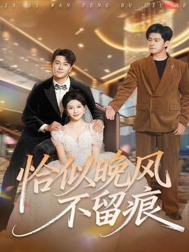 恰似晚風(fēng)不留痕