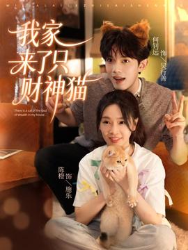 我家來了只財(cái)神貓