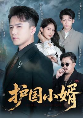 護(hù)國(guó)小婿