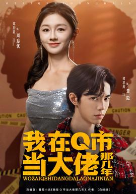 我在Q市當(dāng)大佬那幾年